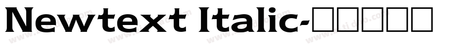 Newtext Italic字体转换